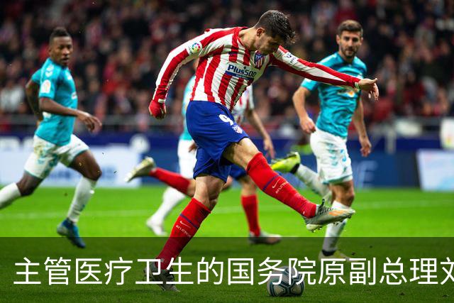 主管医疗卫生的国务院原副总理刘延东逝世