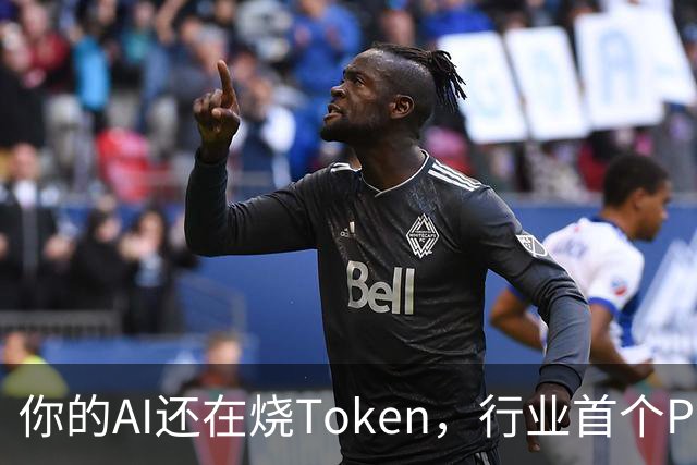 你的AI还在烧Token，行业首个Pro Agent已经开始赚钱了