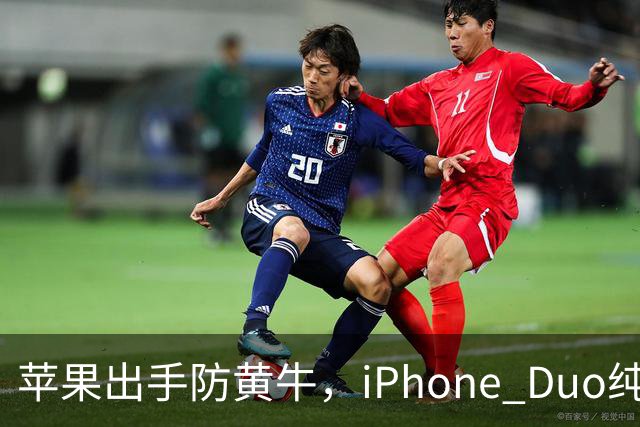 苹果出手防黄牛，iPhone Duo纯eSIM 劝退主力机用户
