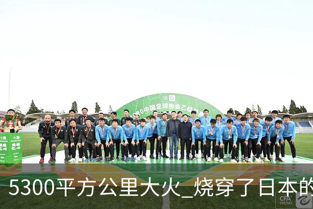 5300平方公里大火 烧穿了日本的傲慢