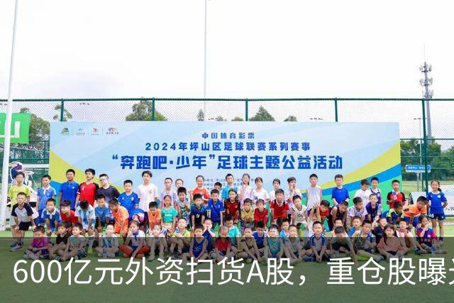 600亿元外资扫货A股，重仓股曝光